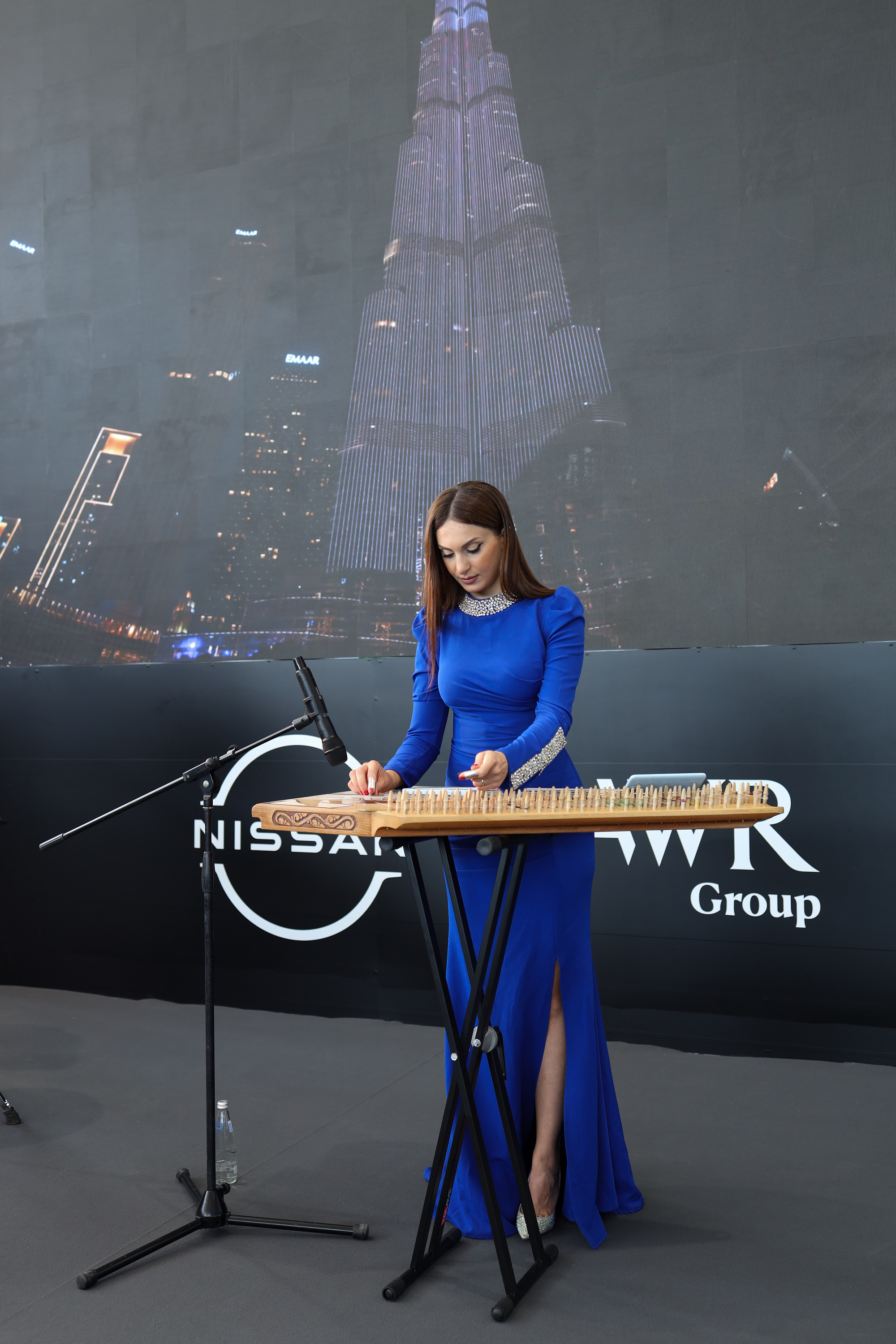 The Sonic Landscapes