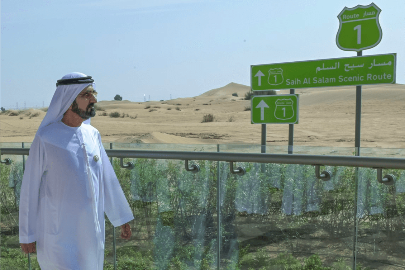 Setting the Stage Image